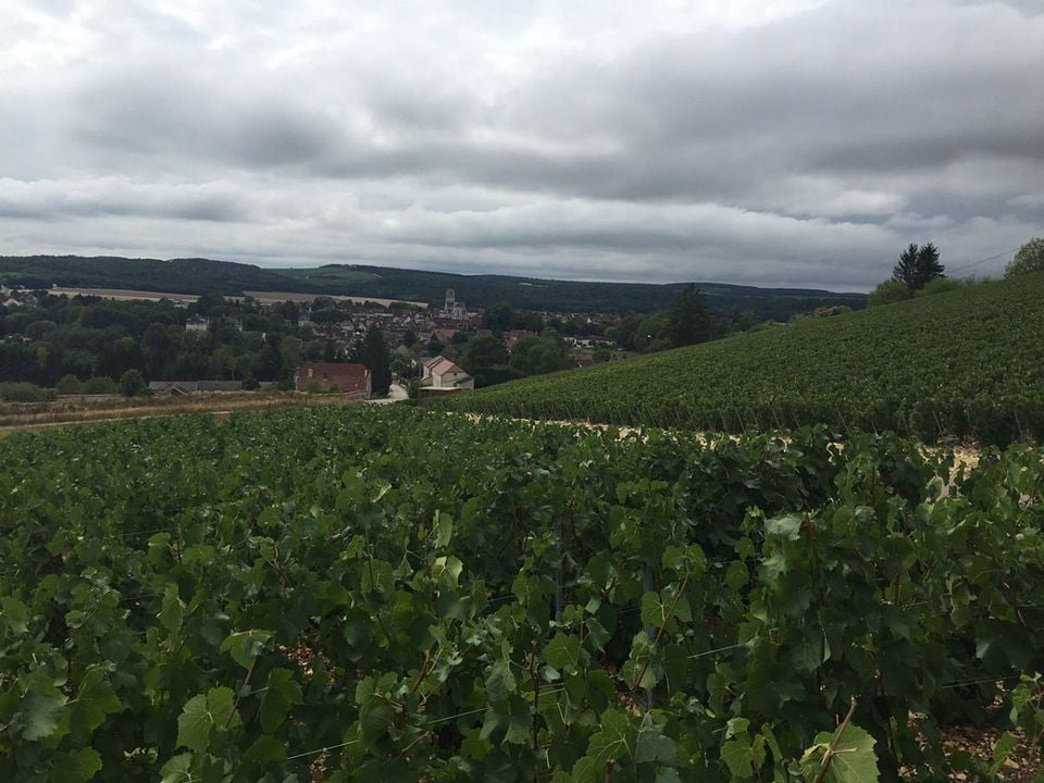 Renoir: admirado y denigrado : Foto