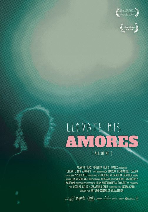 Llévate mis amores : Póster