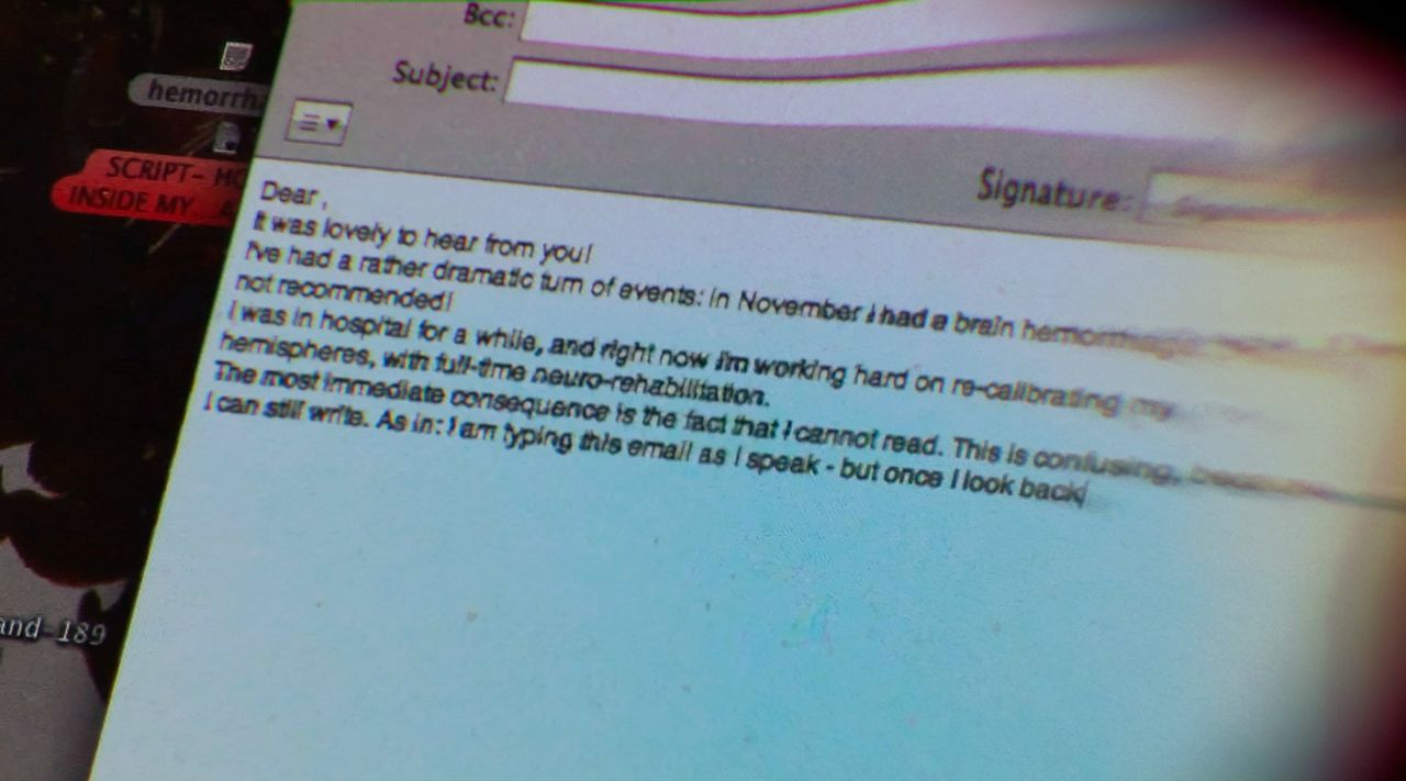 My Beautiful Broken Brain : Foto