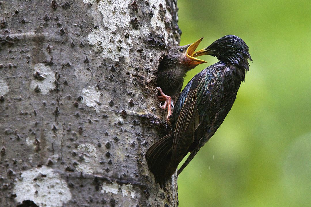 Las estaciones : Foto
