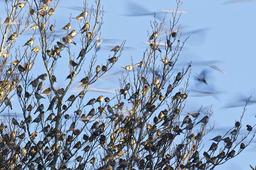 Las estaciones : Foto