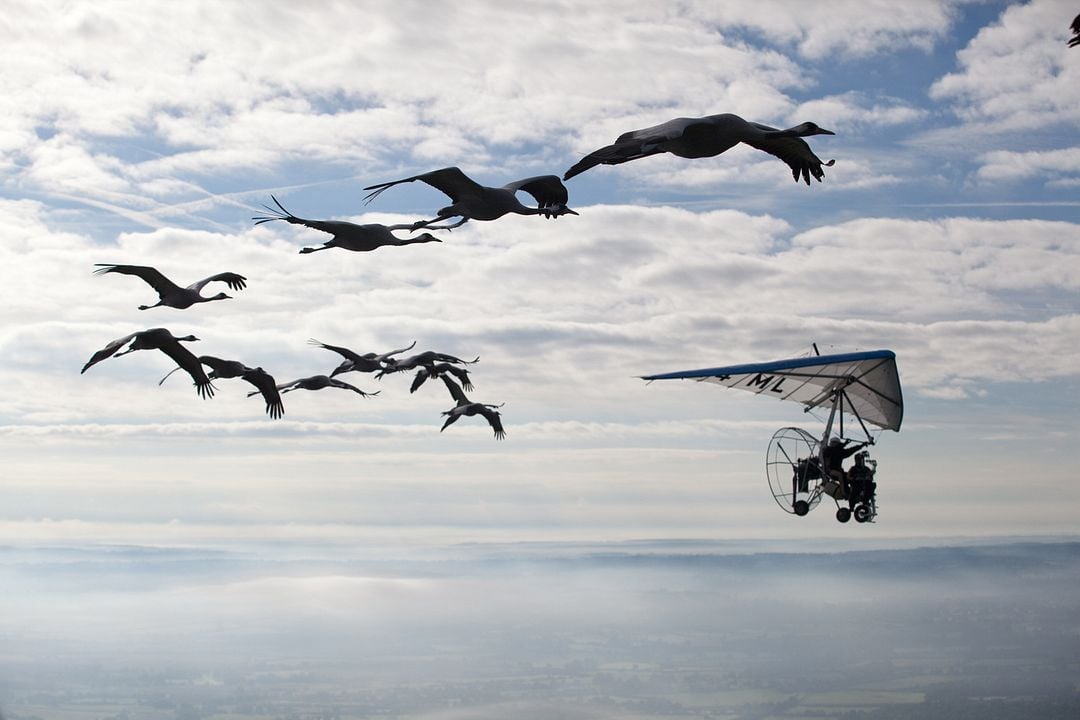 Las estaciones : Foto