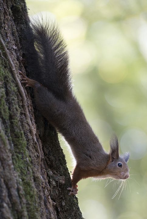 Las estaciones : Foto