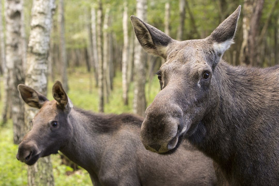 Las estaciones : Foto