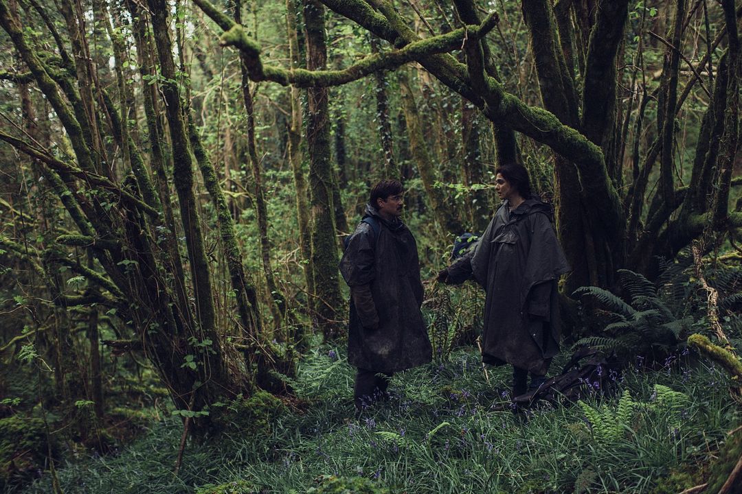 La langosta : Foto Colin Farrell, Rachel Weisz