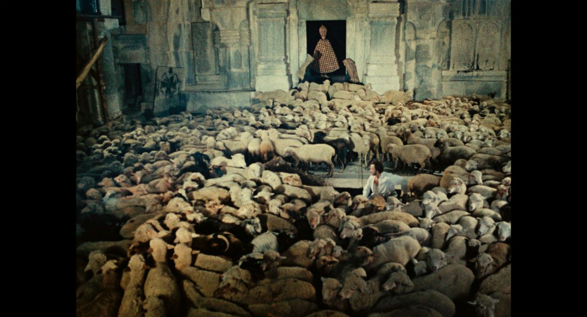 The Color of Pomegranates : Foto