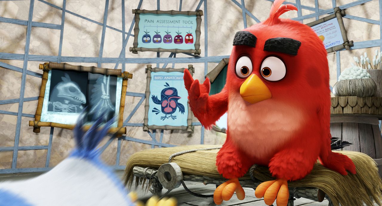 Angry Birds: La película : Foto