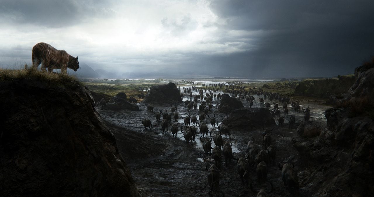 El libro de la selva : Foto