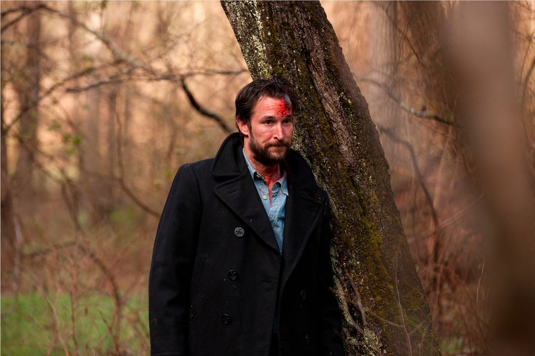 Foto Noah Wyle