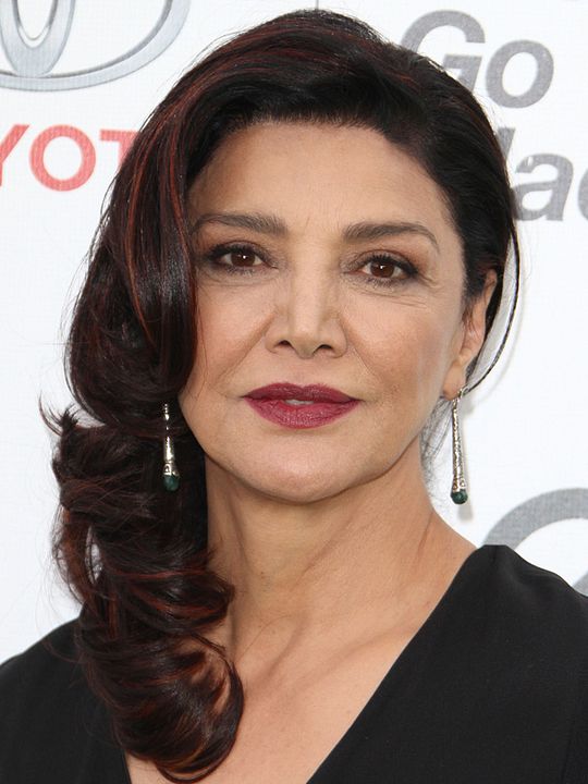 Póster Shohreh Aghdashloo