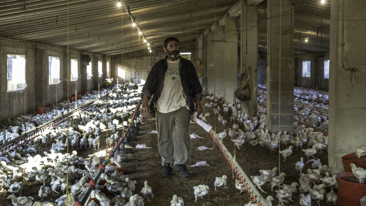 Quatretondeta : Foto Sergi López