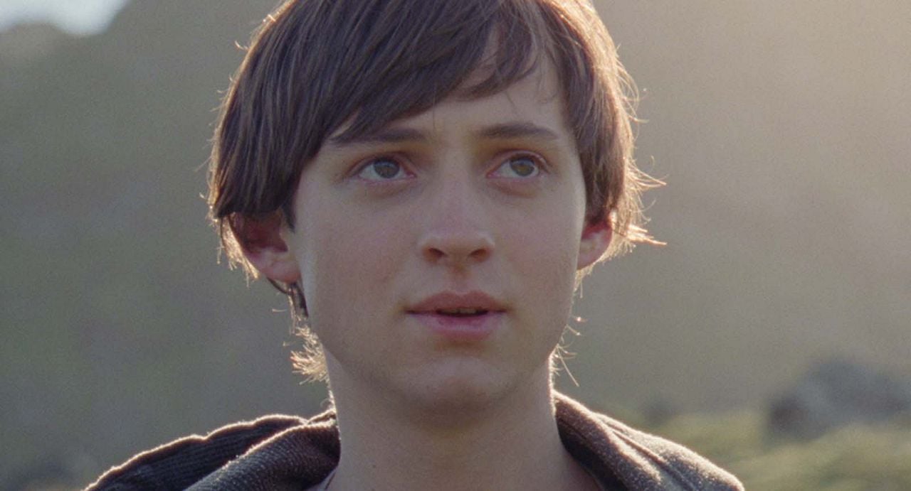 Sparrows (Gorriones) : Foto