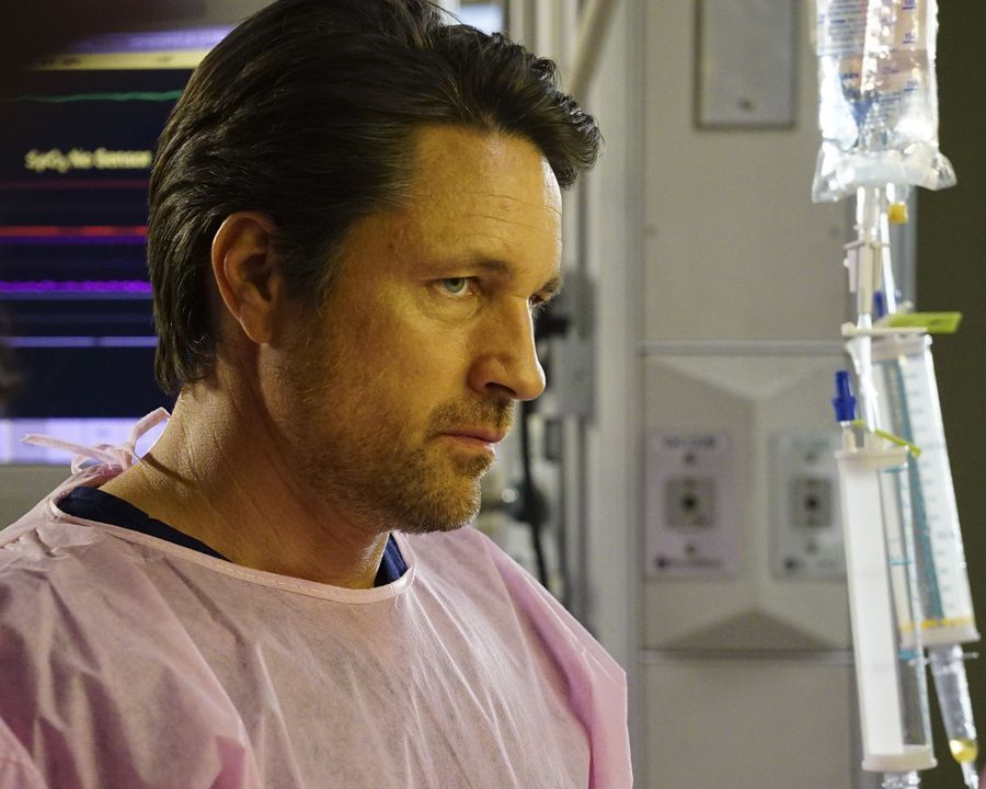 Grey's Anatomy : Foto Martin Henderson