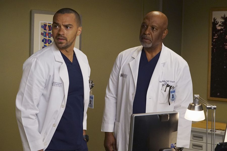 Grey's Anatomy : Foto Jesse Williams, James Pickens Jr.