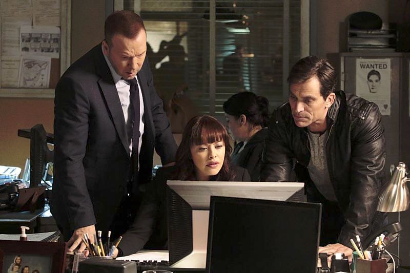 Blue Bloods : Foto