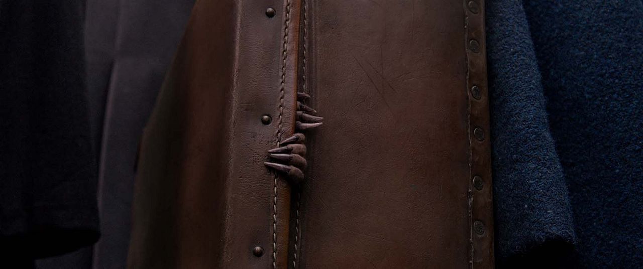 Animales fantásticos y dónde encontrarlos : Foto