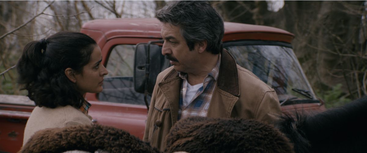 Capitán Kóblic : Foto Ricardo Darín