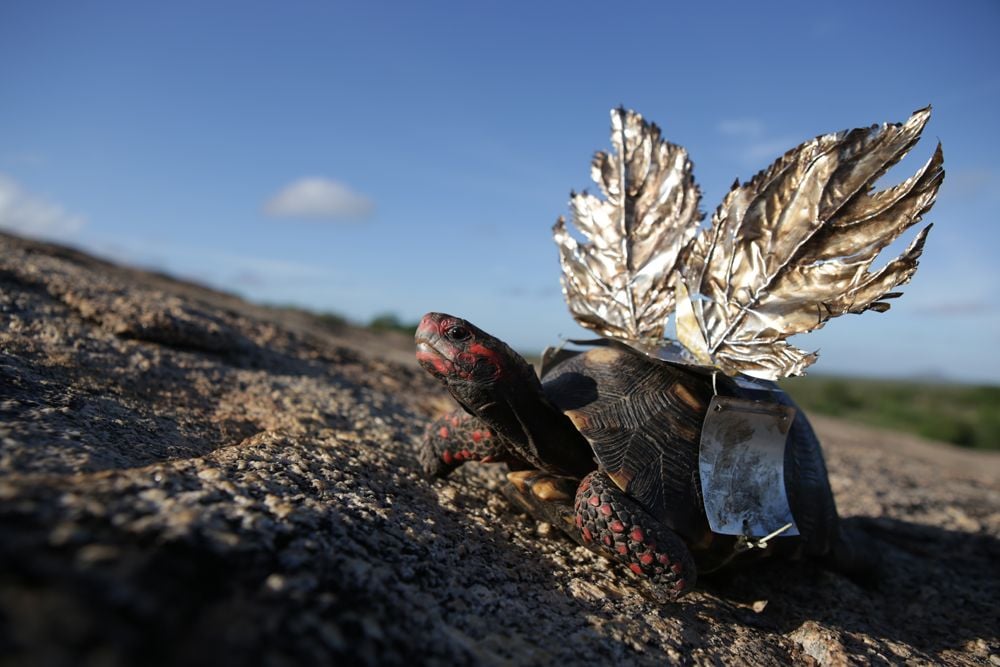 Por Trás do Céu : Foto