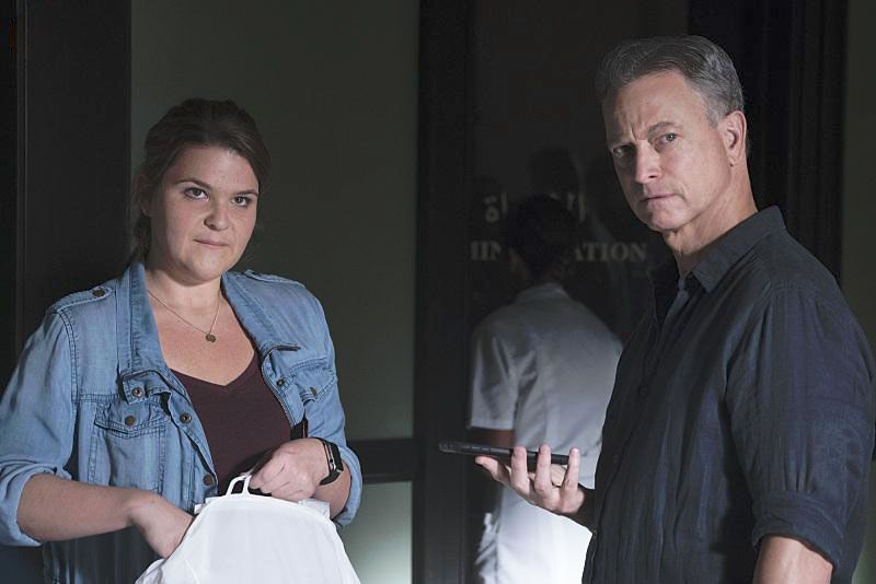 Mentes criminales: sin fronteras : Foto Gary Sinise