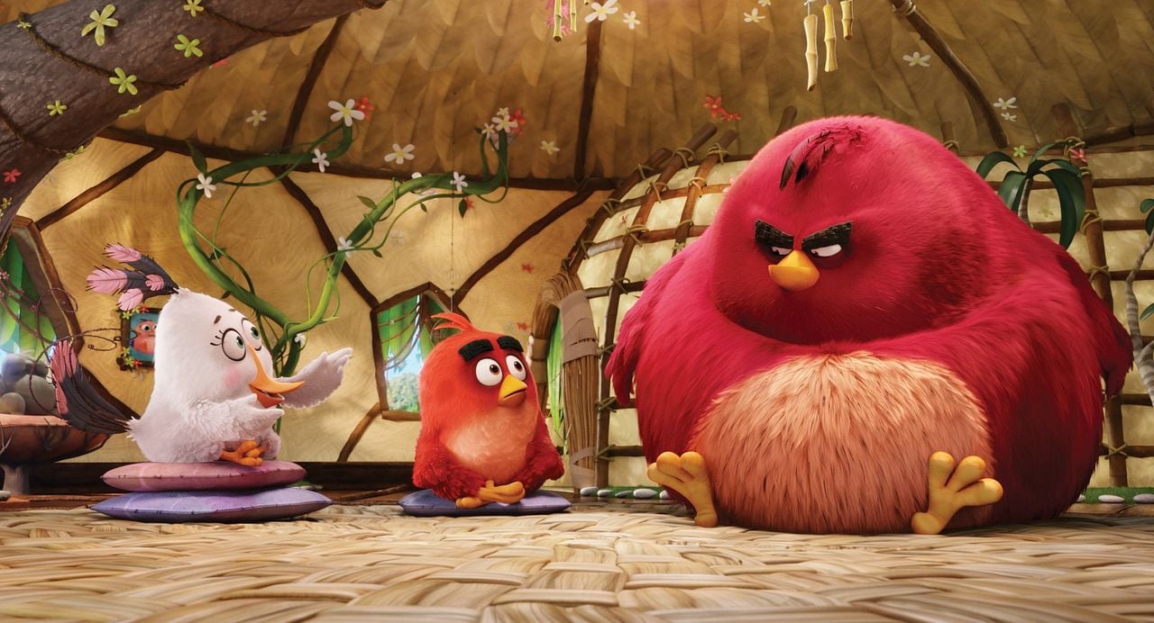 Angry Birds: La película : Foto