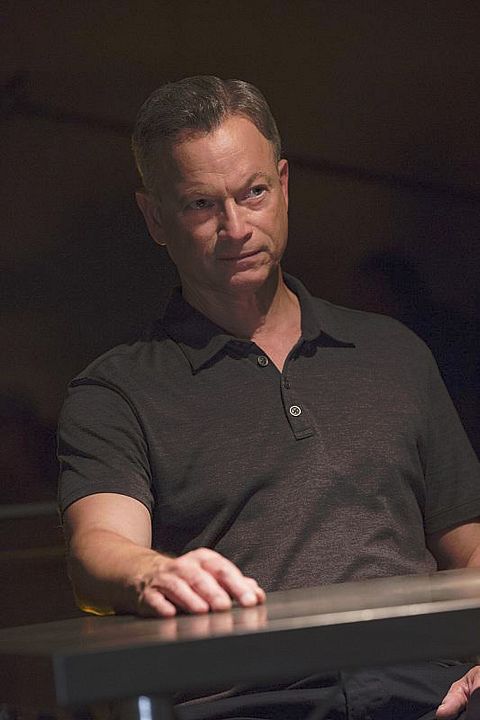 Mentes criminales: sin fronteras : Foto Gary Sinise