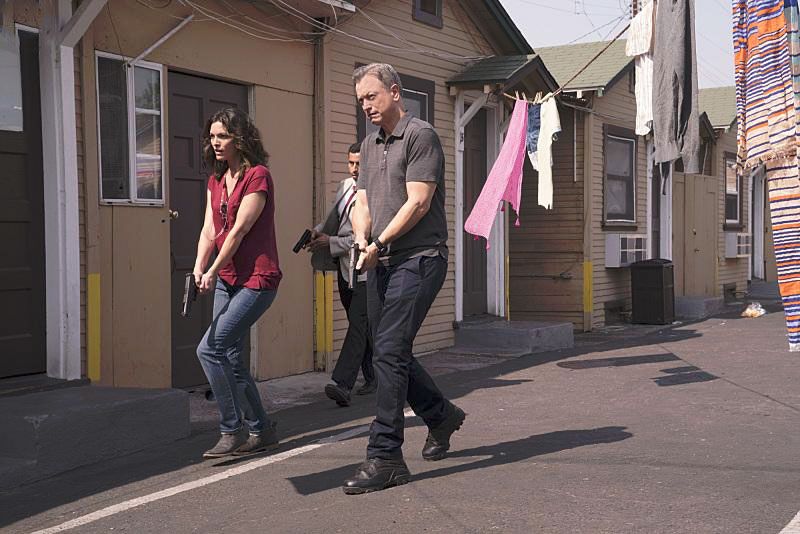 Mentes criminales: sin fronteras : Foto Gary Sinise