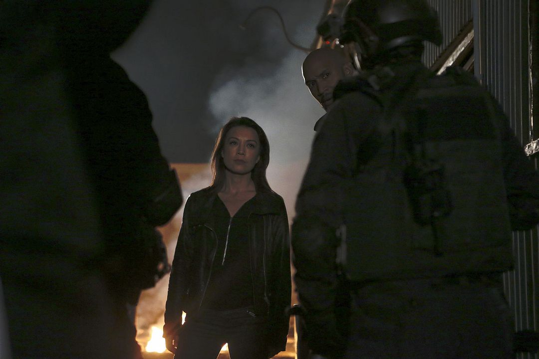 Agentes de S.H.I.E.L.D. : Foto Ming-Na Wen