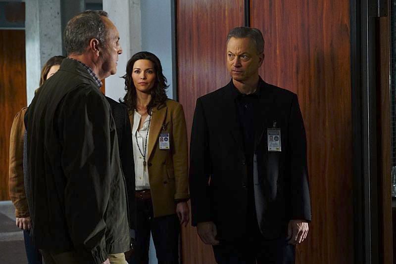 Mentes criminales: sin fronteras : Foto Gary Sinise