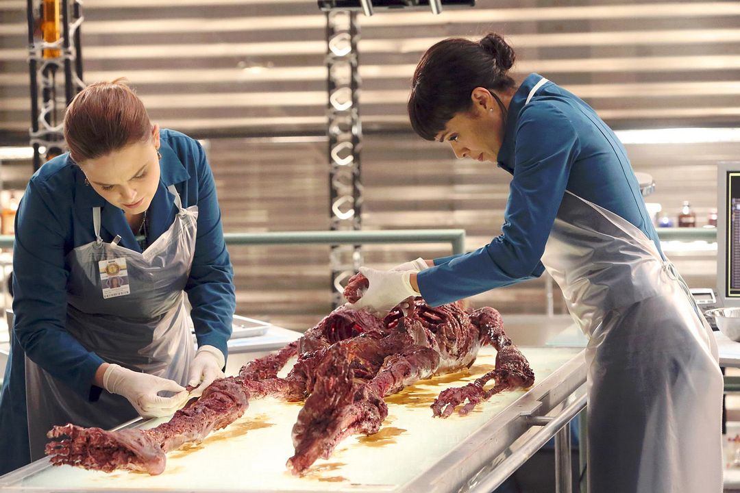 Bones : Foto Emily Deschanel