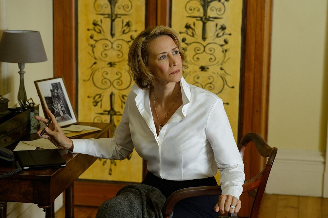 Yo antes de ti : Foto Janet McTeer
