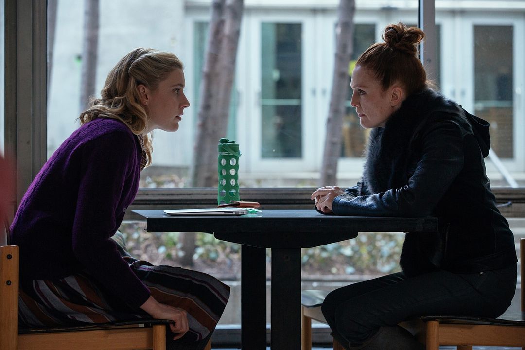 Maggie's Plan : Foto Julianne Moore, Greta Gerwig