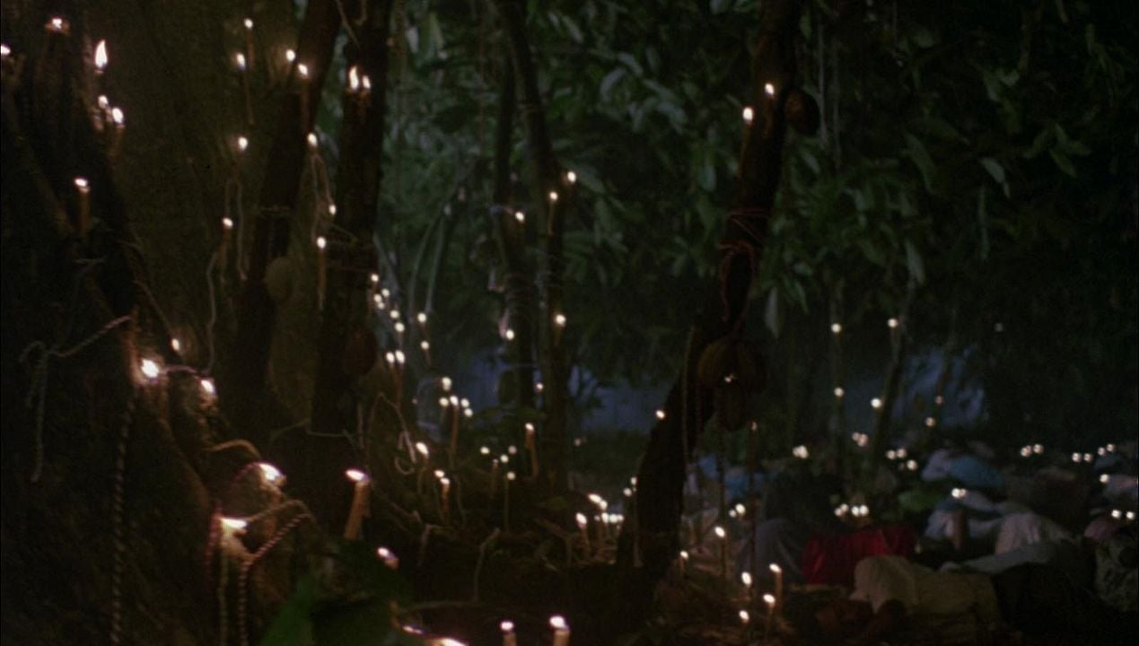 La Serpiente y el Arco Iris : Foto