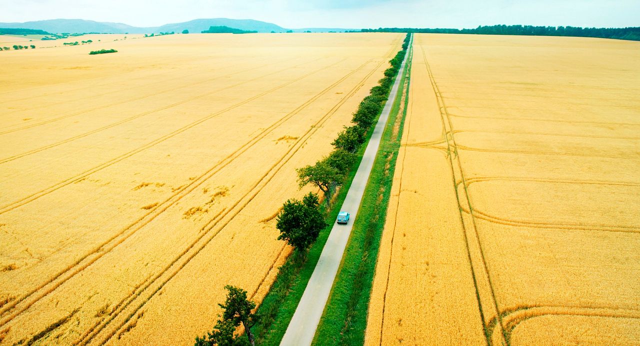 Goodbye Berlin : Foto