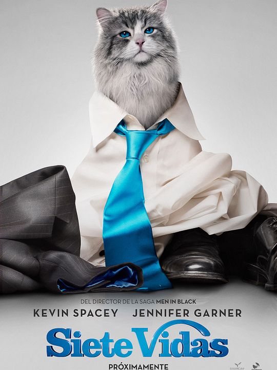 Mi papá es un gato : Póster