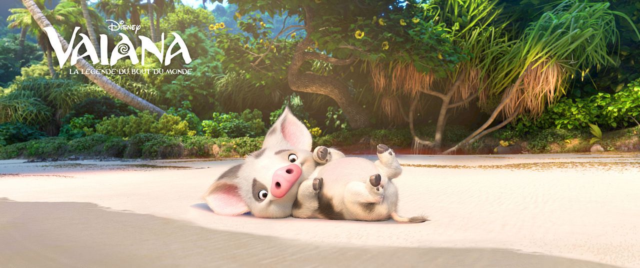 Moana: un mar de aventuras : Foto