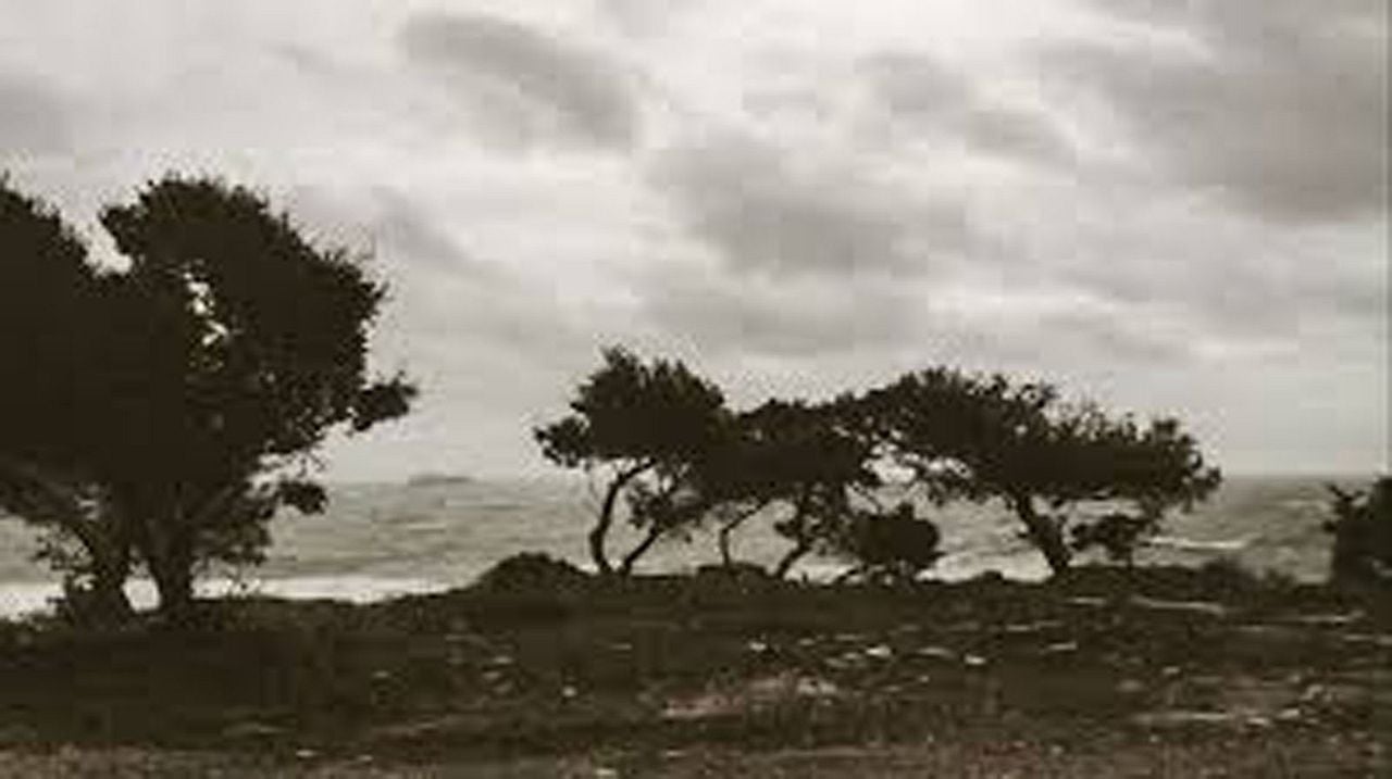 Correspondencias : Foto