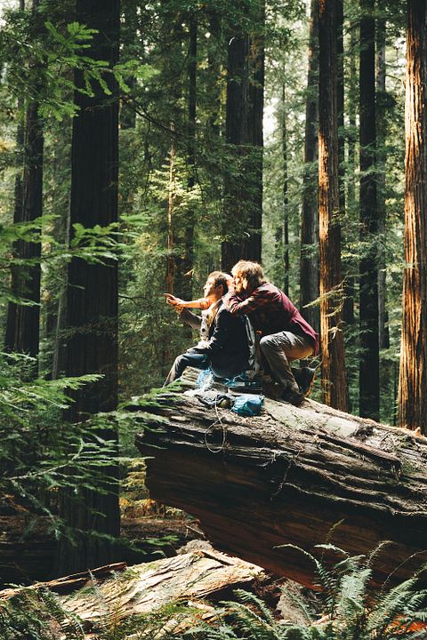 Un cadáver para sobrevivir : Foto Daniel Radcliffe, Paul Dano