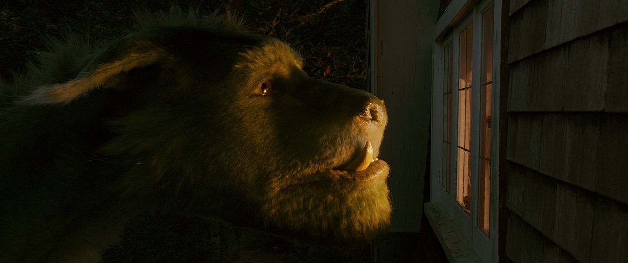 Peter y el dragón : Foto