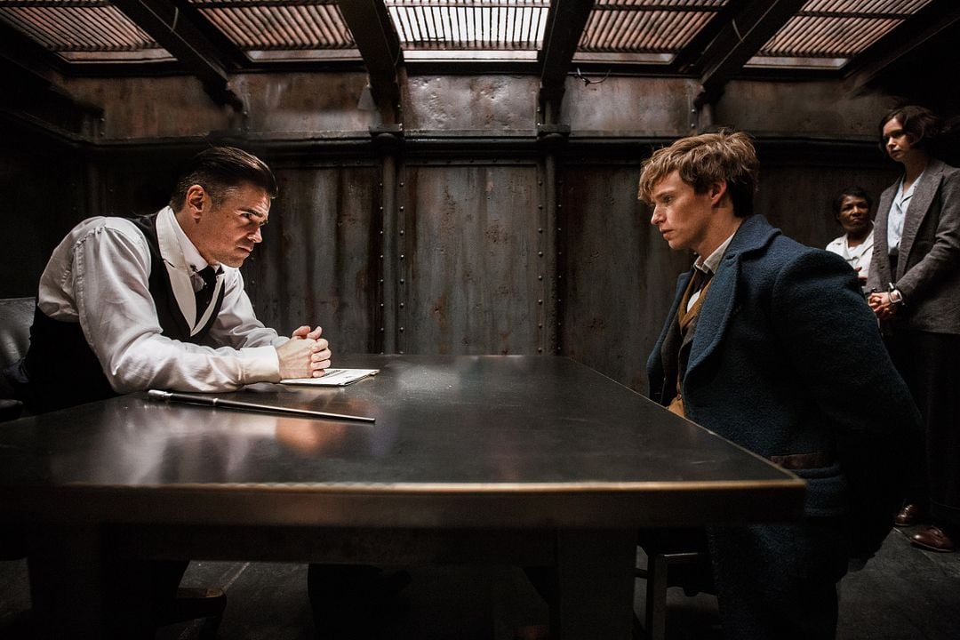 Animales fantásticos y dónde encontrarlos : Foto Colin Farrell, Eddie Redmayne
