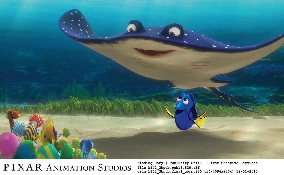 Buscando a Dory : Foto
