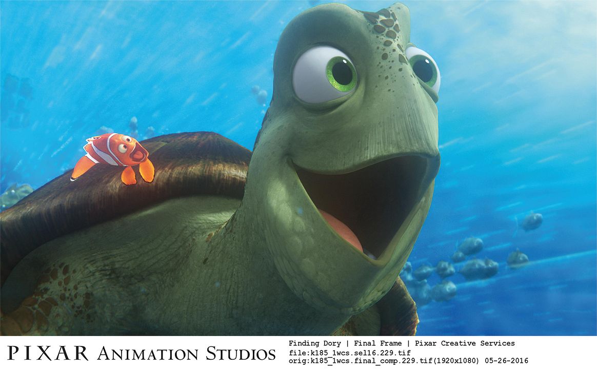 Buscando a Dory : Foto