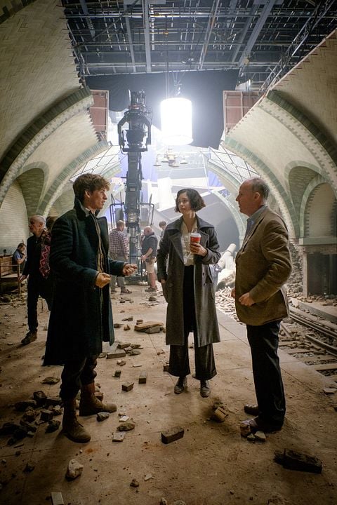 Animales fantásticos y dónde encontrarlos : Foto Eddie Redmayne, David Yates, Katherine Waterston