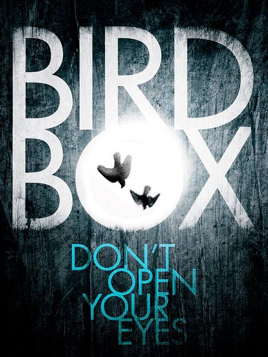 Bird Box: A ciegas : Póster