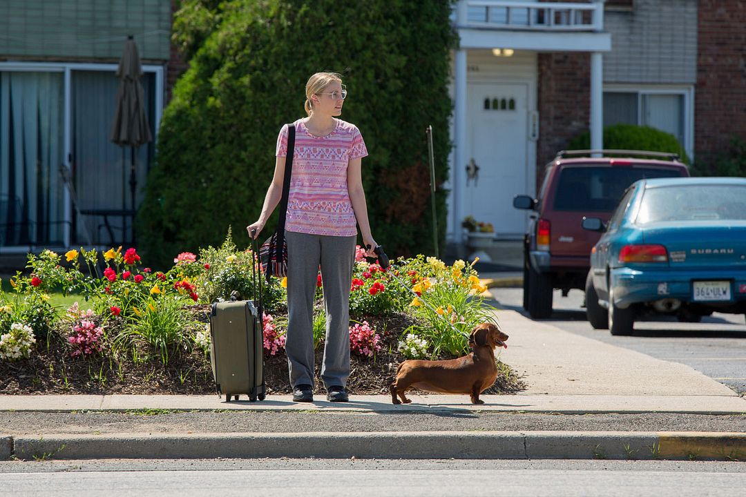 Wiener-Dog : Foto Greta Gerwig
