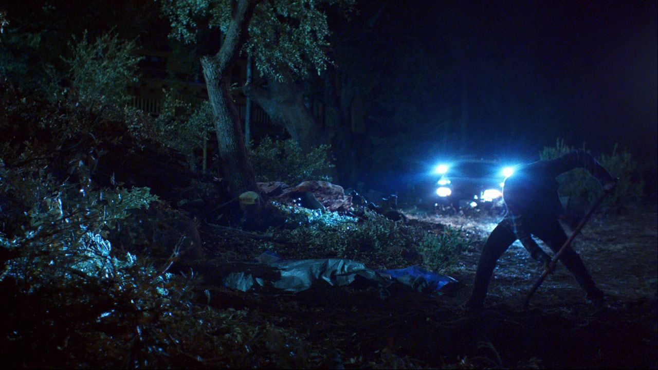 Violencia sangrienta : Foto