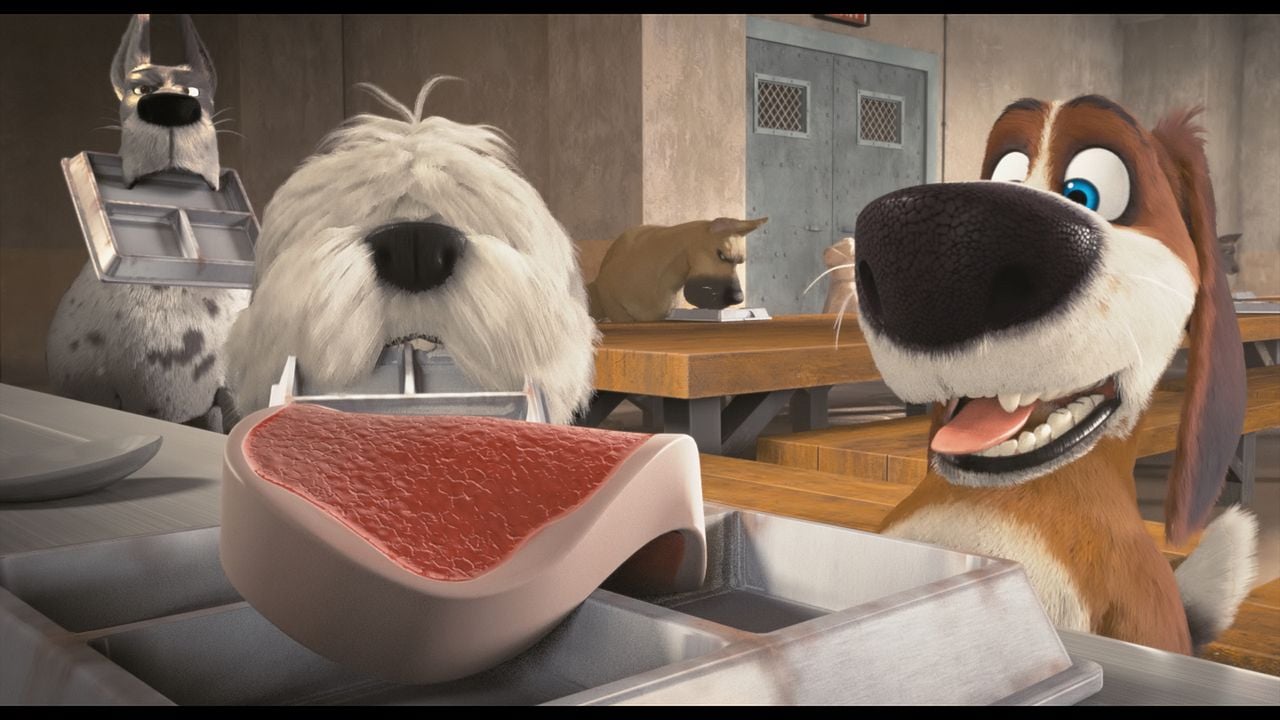 Ozzy: Rápido y peludo : Foto