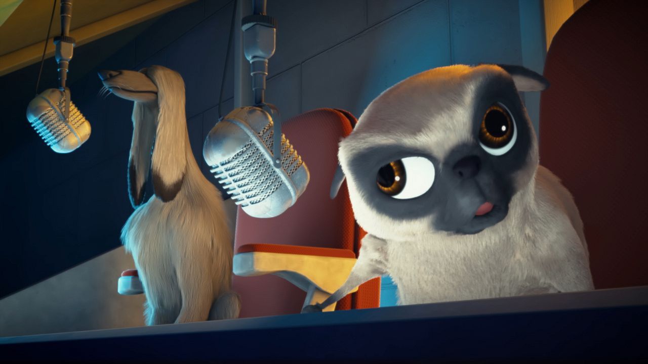 Ozzy: Rápido y peludo : Foto