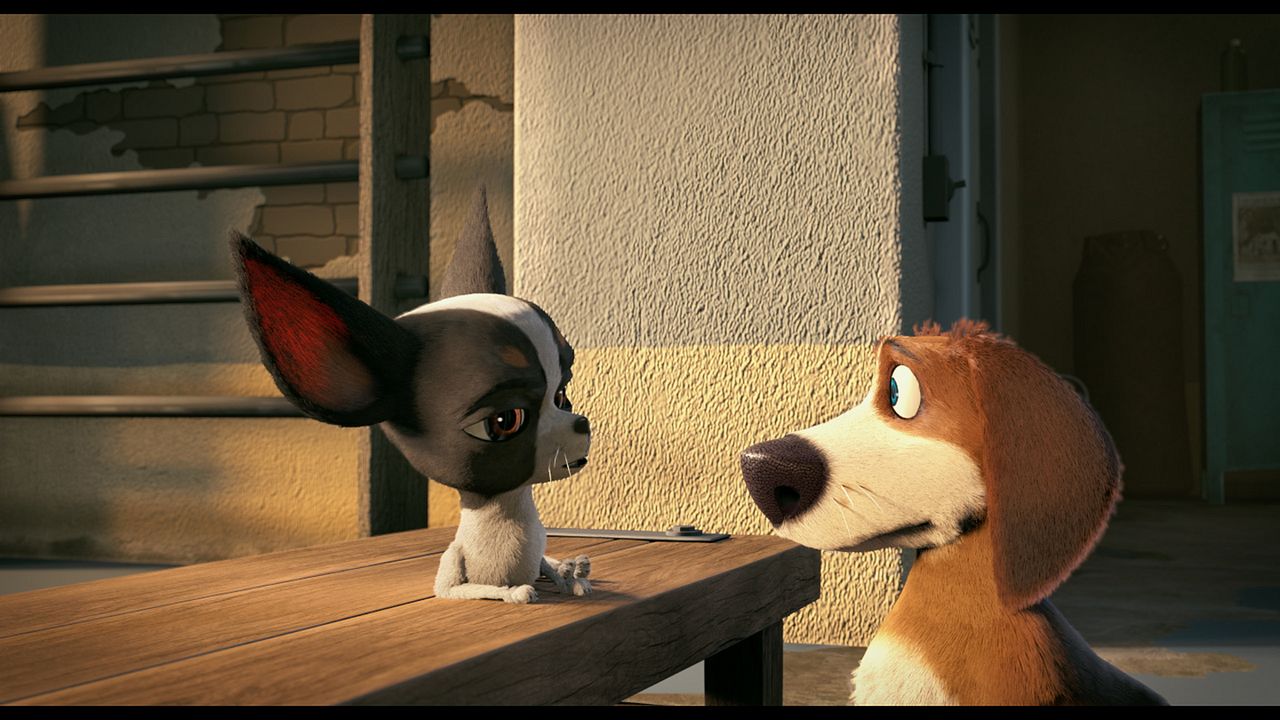 Ozzy: Rápido y peludo : Foto