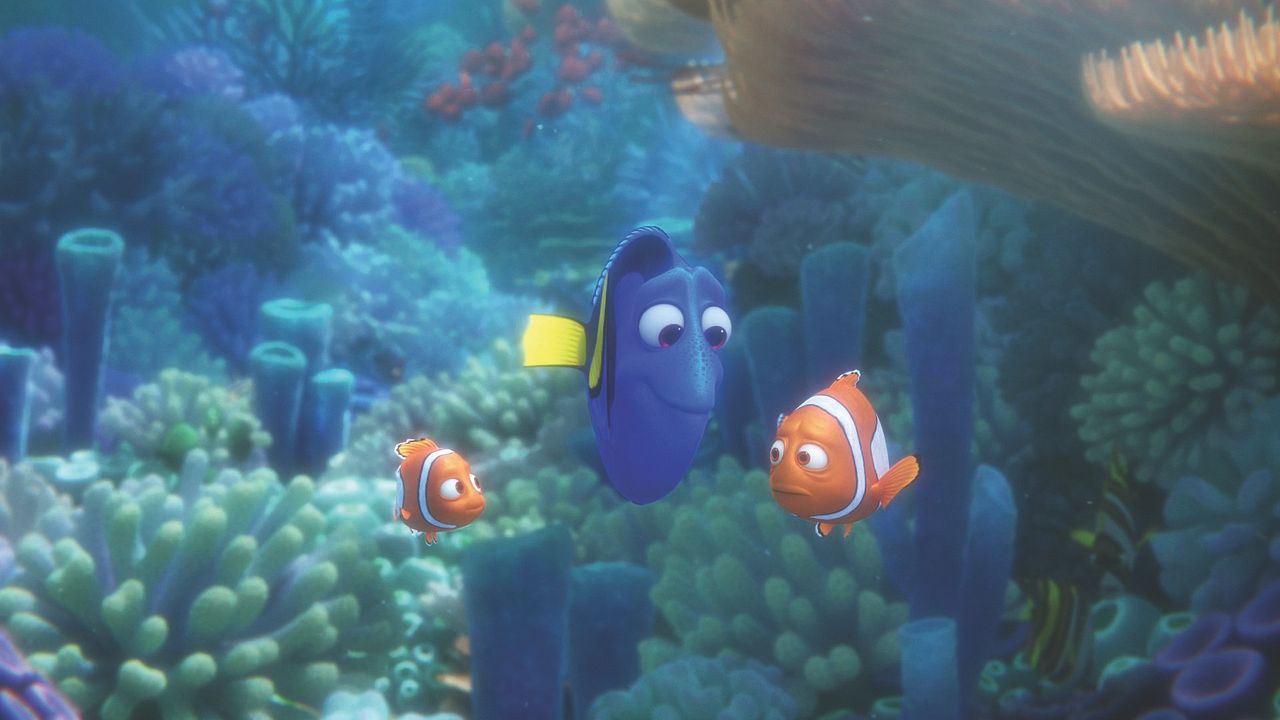 Buscando a Dory : Foto