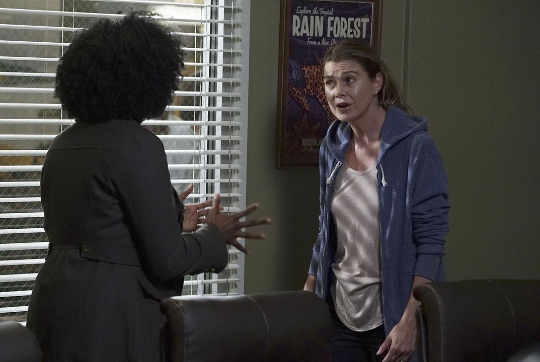 Grey's Anatomy : Foto Ellen Pompeo